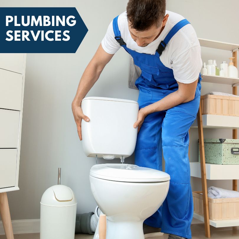 Plumbing Company in Alburnett, IA